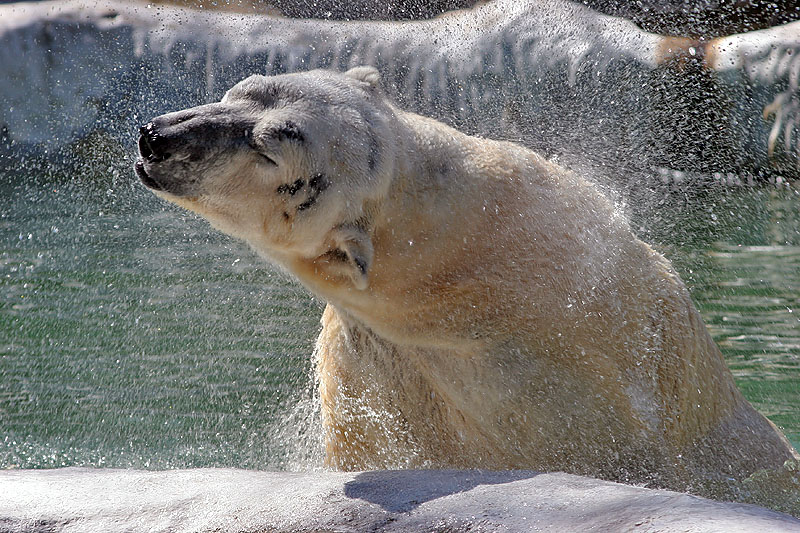 41903760.jpg
