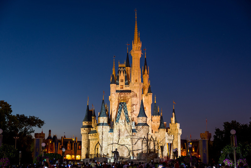DSC_3636-L.jpg
