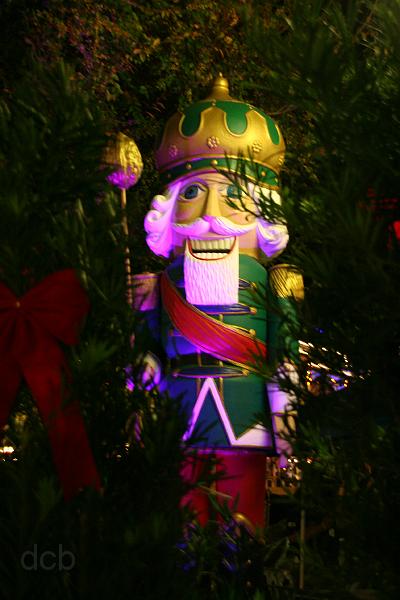 IMG_1485.JPG
