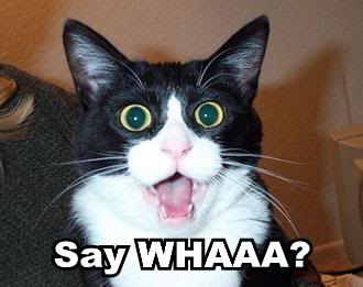 say-whaaa.jpg