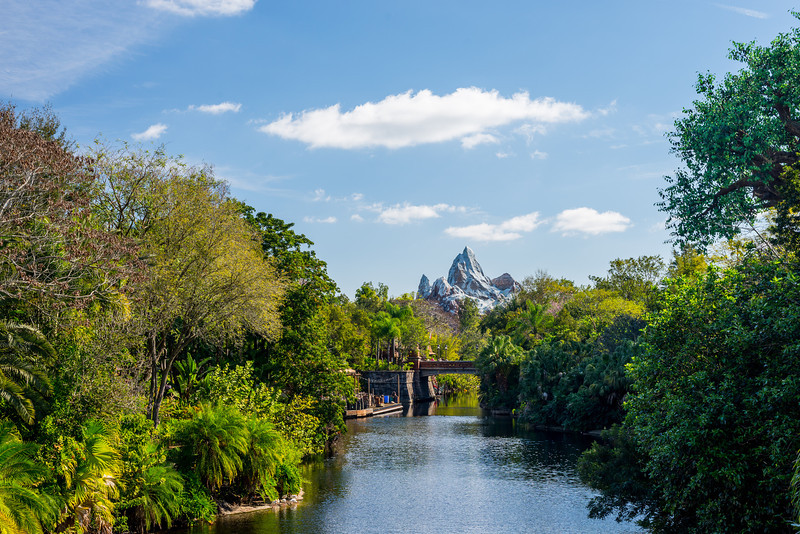 DSC_7866-L.jpg