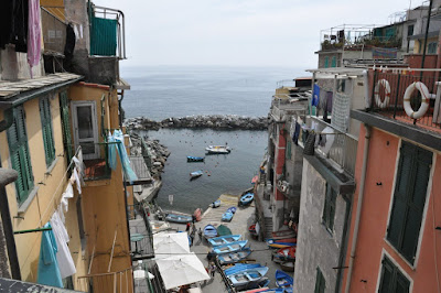 DSC_1007.JPG