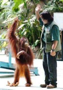selangor_national_zoo2.jpg