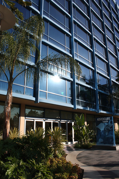 IMG0242-L.jpg
