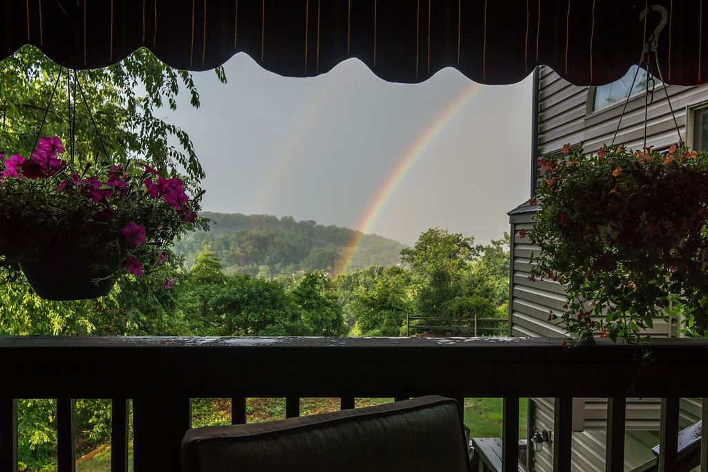 DSC09062-XL.jpg