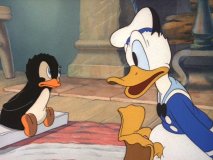 donald16.jpg