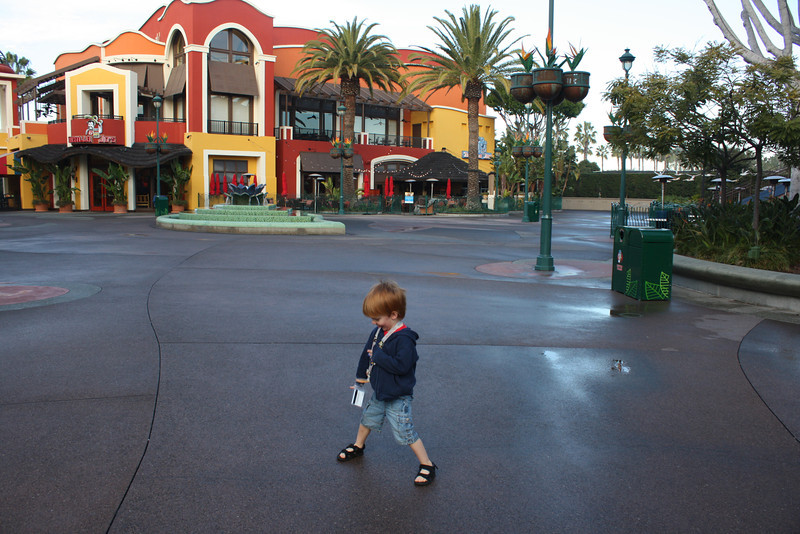 IMG9116-L.jpg