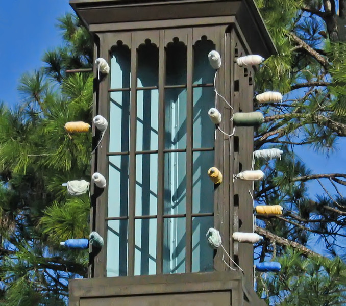 Birdstring-L.jpg