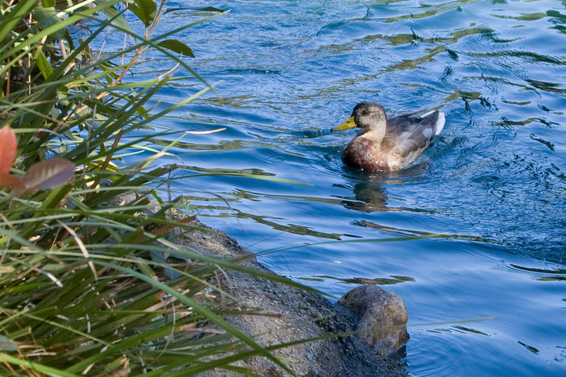 p114740281-4.jpg