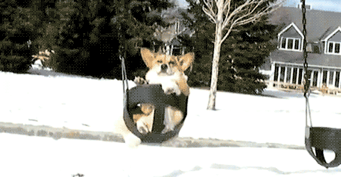 tumblr_m87sf6yOdn1r9uqax.gif