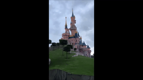 giphy.gif