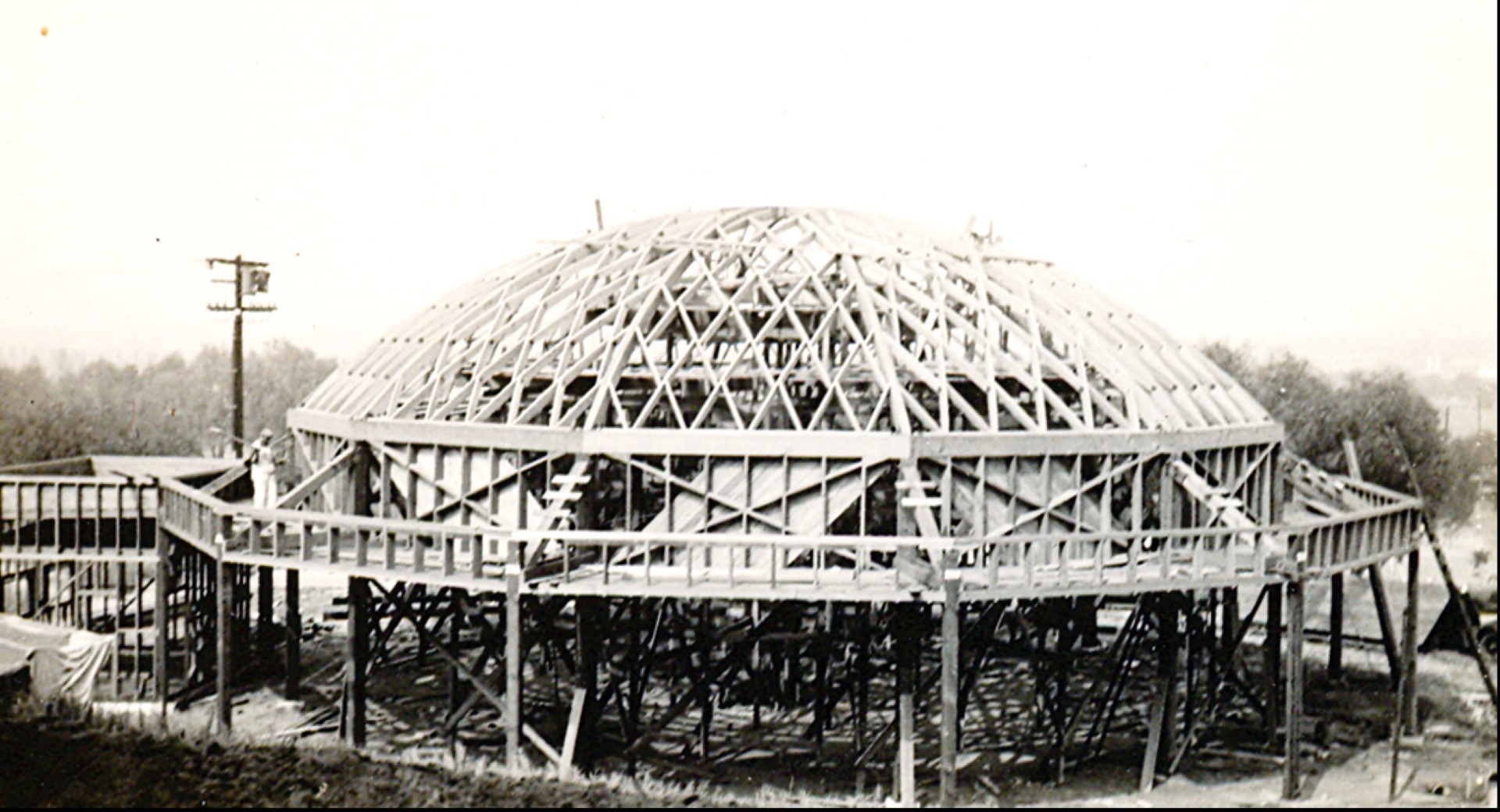 Griffith_Carousel_Vintage_1%20(Large).jpg