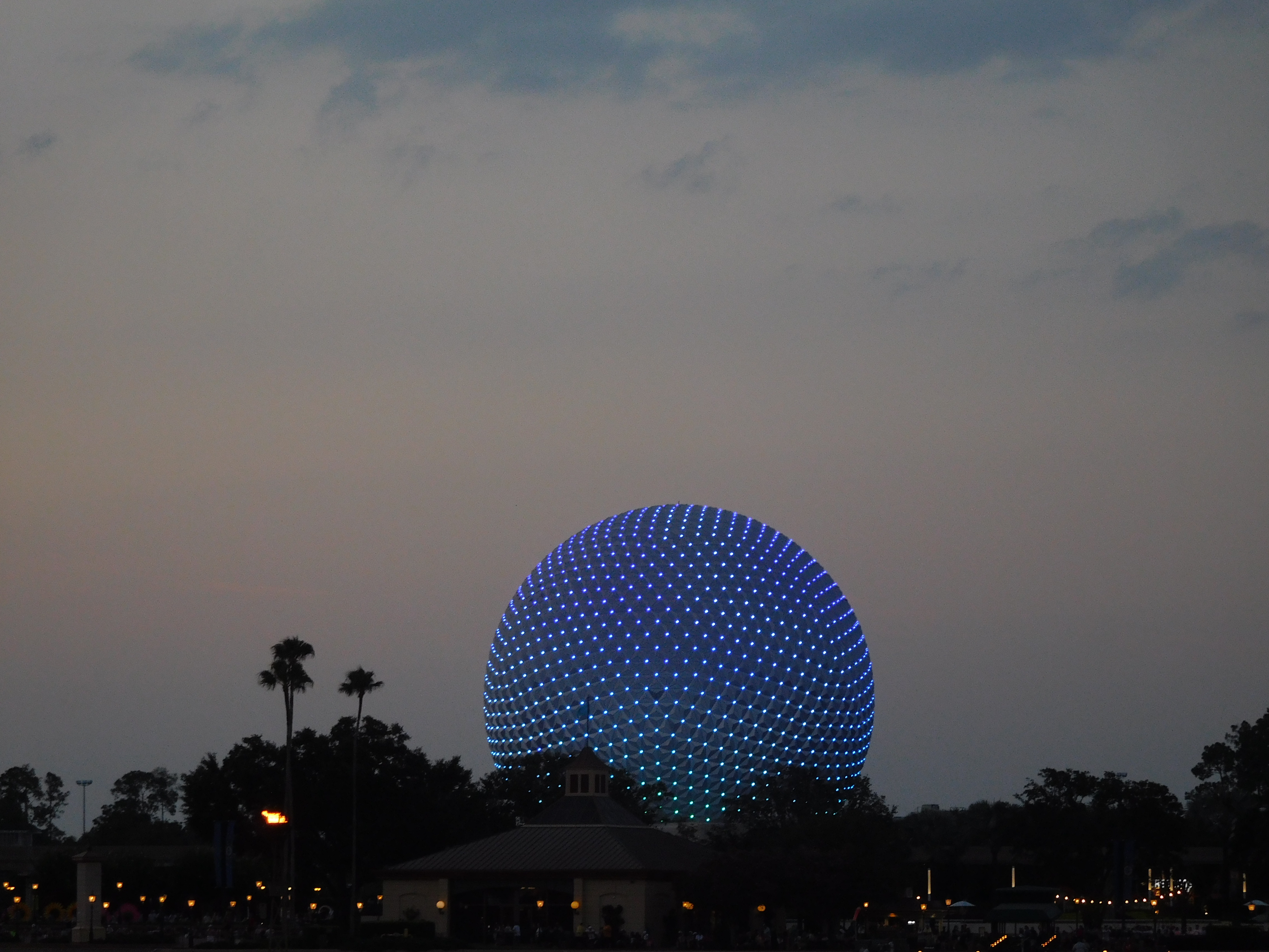 DSCN5341.jpg