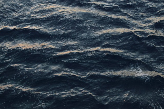 13612555413_c73c7c7456_z.jpg