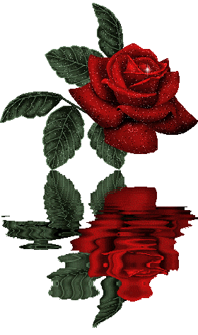 rosewater3.gif