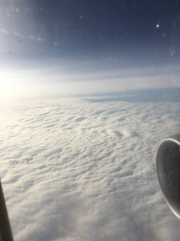 40530901231_55b2446397_c.jpg