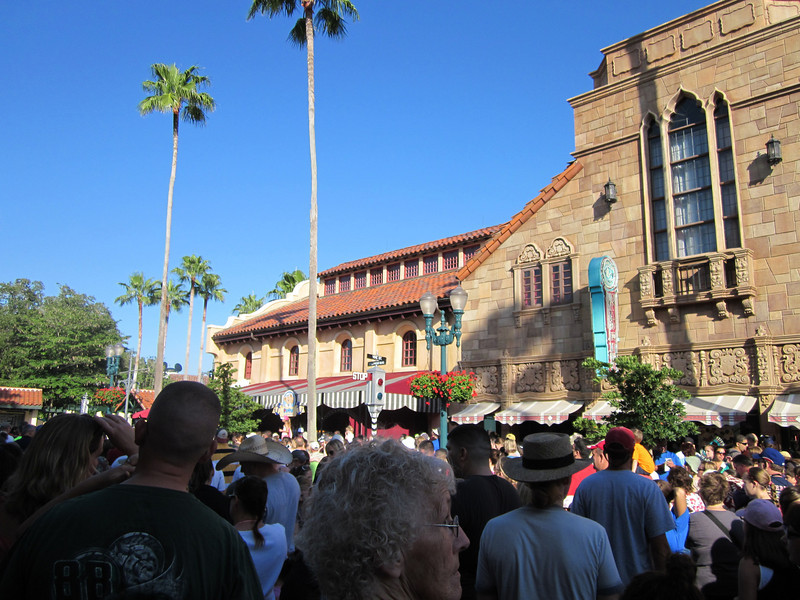 IMG0427-L.jpg