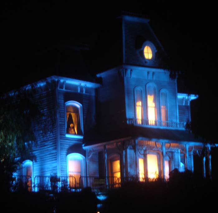 hhn8.jpg