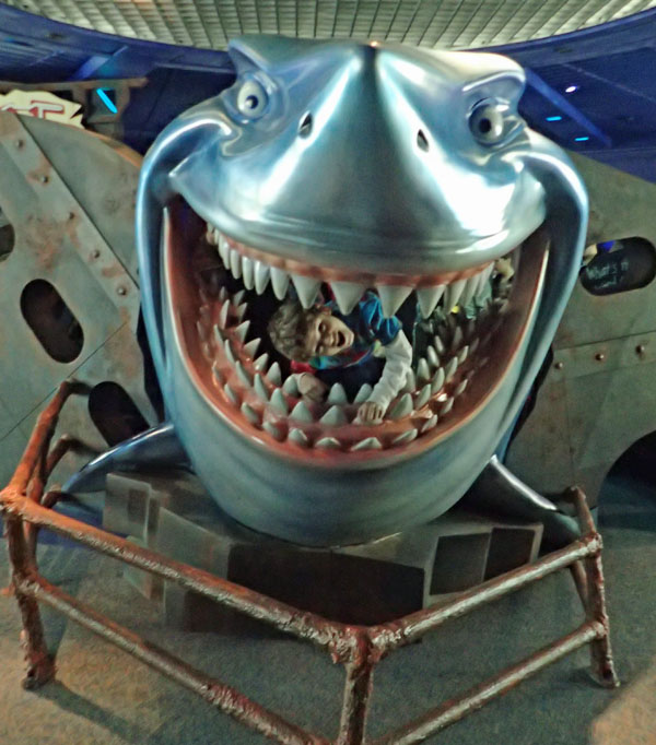 bruce_des.jpg
