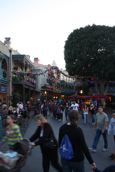 IMG9498-L.jpg