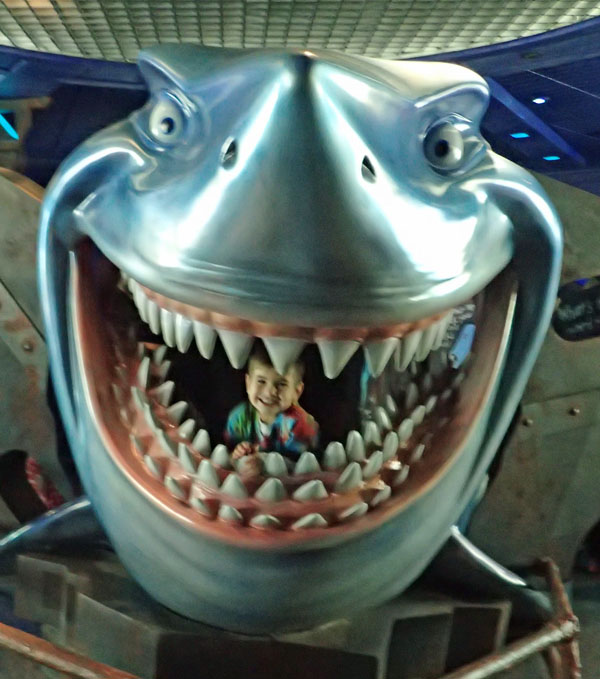 bruce_sul.jpg
