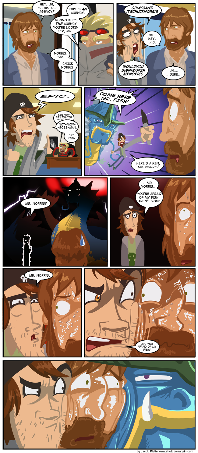 2010-11-11.png