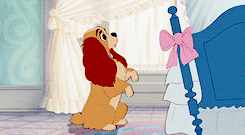 tumblr_nqd76hsutK1rf0qbdo4_250.gif