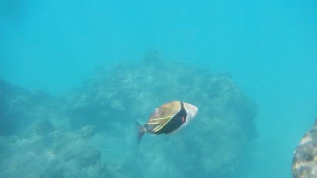 DSCN0780-Moment5.jpg