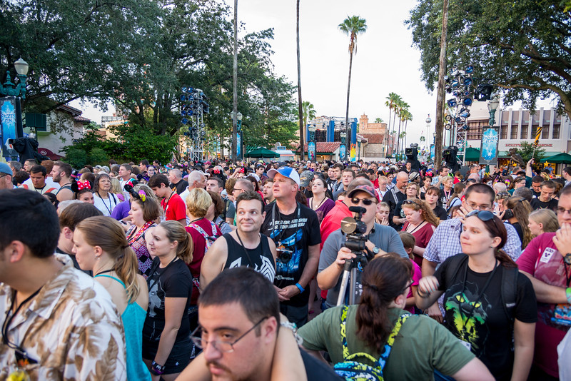 DSC_9024-L.jpg