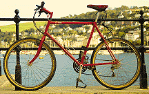 2bicycle.gif