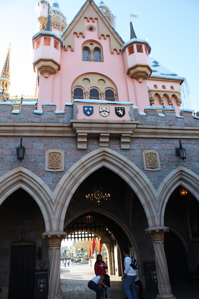 IMG9209-L.jpg