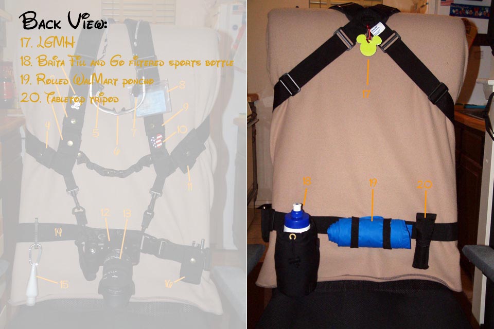 gear-back.jpg