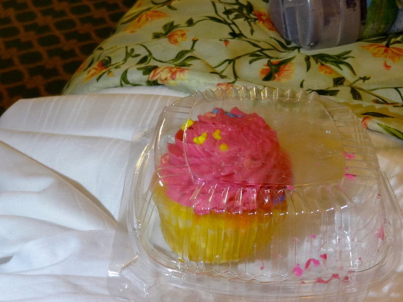 DSC01974-L.jpg