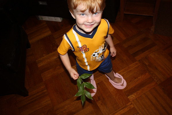 1005126796_v8N4d-M.jpg