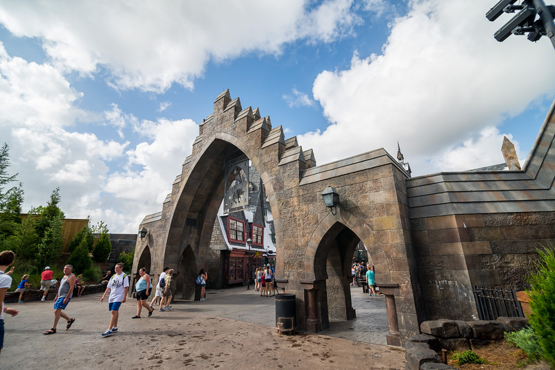 DSC_9813-L.jpg