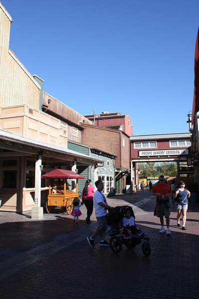 IMG9901-L.jpg
