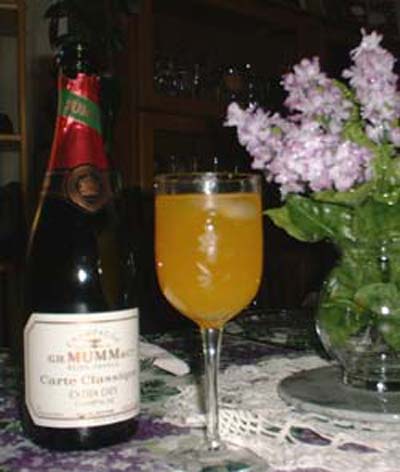 mimosa.jpg