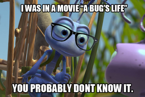 tumblr_lhq9q4YUFR1qzm0mho1_500.jpg
