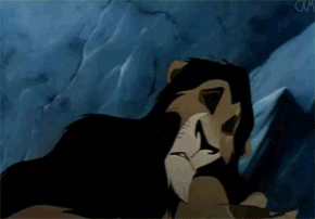 tumblr_l4ppdvafPF1qcwsd8o1_400.gif