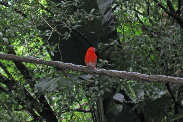 IMG_0040.jpg