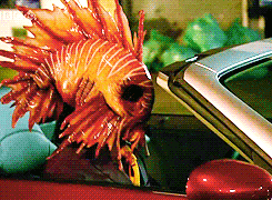 tumblr_lx2232L5Is1r70tp1o2_r1_250.gif