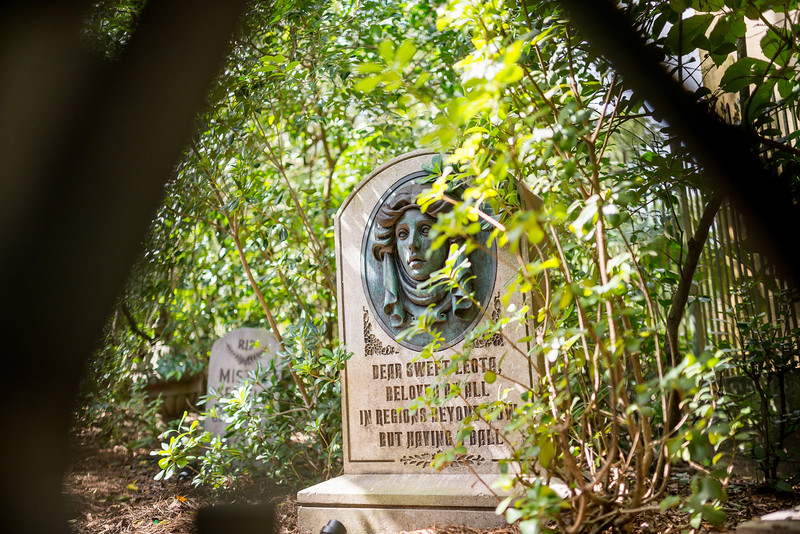 DSC_0447-L.jpg