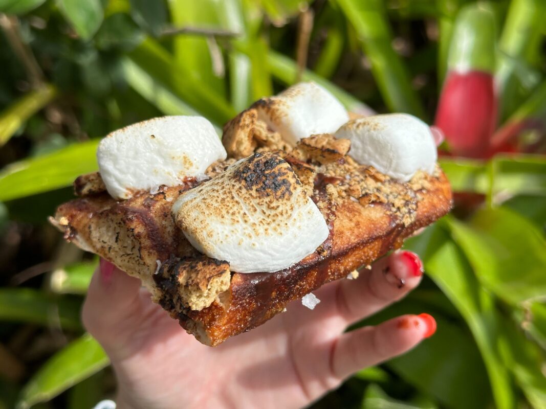 Close-up of s'mores dessert pizza