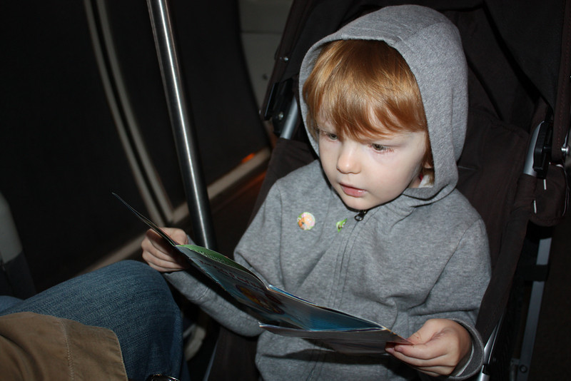 1218349871_46DY5-L.jpg