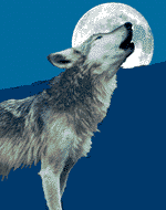 wolf06.gif