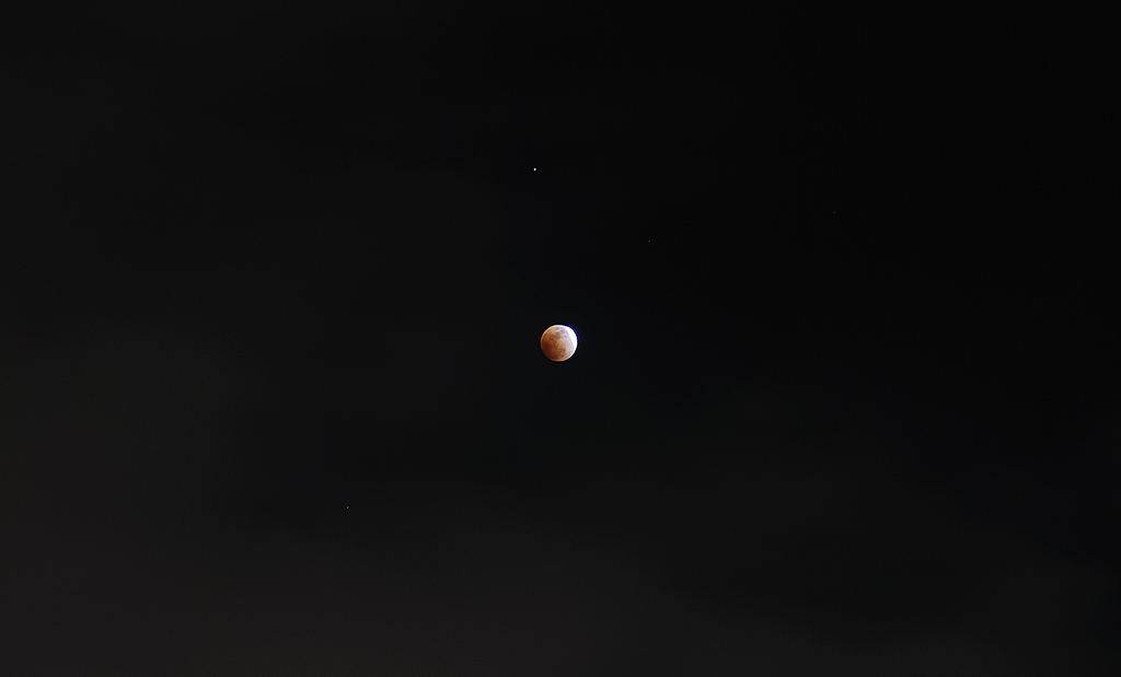 257020165_qohfg-XL.jpg