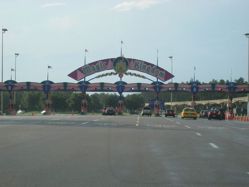 323684109_VzsPN-L.jpg