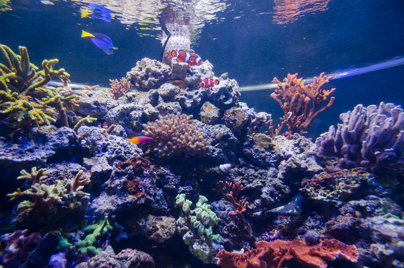 DSC1251-L.jpg