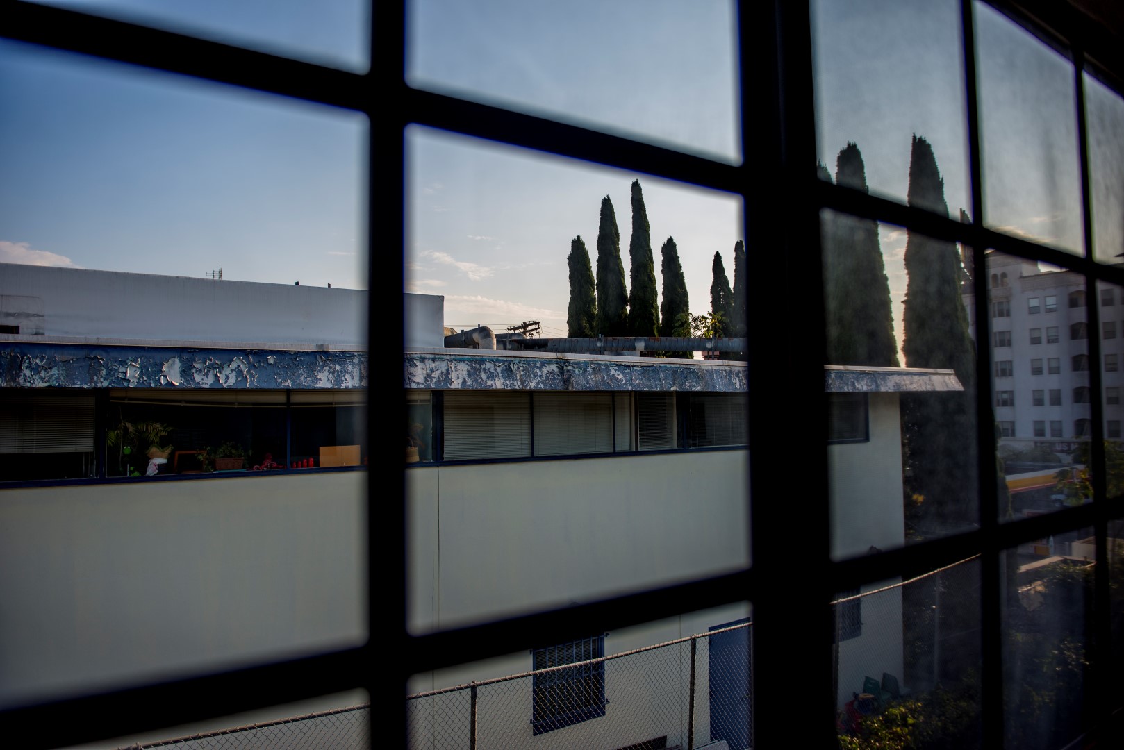 DSC_7109%20(Large).jpg