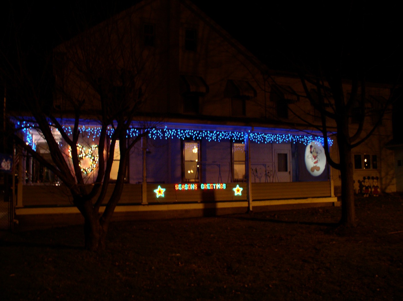 P1010011-vi.jpg